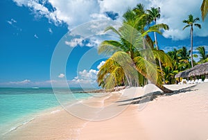 Tropical caribbean island Saona, Dominican Republic. Beautiful beach, palm trees and clear sea