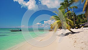 Tropical caribbean island Saona, Dominican Republic. Beautiful beach, palm trees and clear sea water