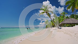 Tropical caribbean island Saona, Dominican Republic. Beautiful beach, palm trees and clear sea water