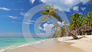 Tropical caribbean island Saona, Dominican Republic. Beautiful beach, palm trees and clear sea water