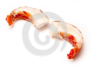 Tropical Caribbean lobster or spiny lobster tail