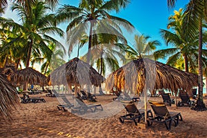 Tropical carribbean beach