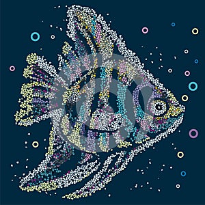 Tropical cartoon cute marine pied fish on blue background