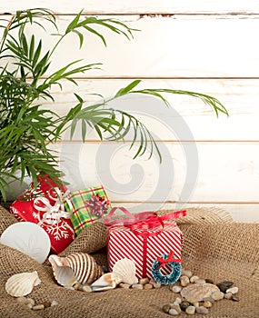 Tropical Christmas Still Life with gifts and sea shells against white shiplap background with copy space