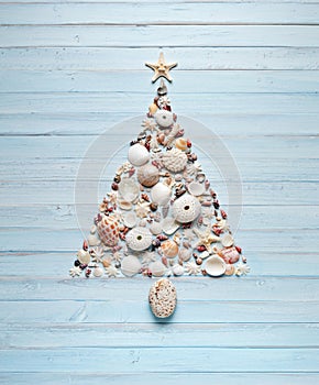 Tropical Christmas Tree Shells Background