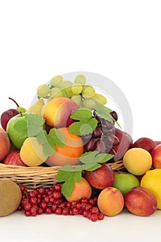 Tropical, Citrus and Berry Fruit