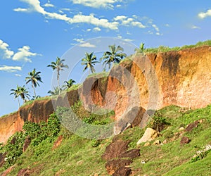 Tropical Cliff in Varkala on Kerala Coastline