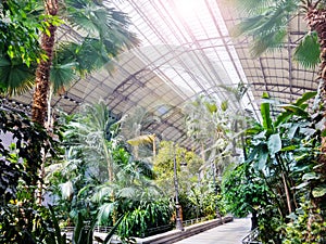 Tropical climate trees in Madrid train Atocha railway station