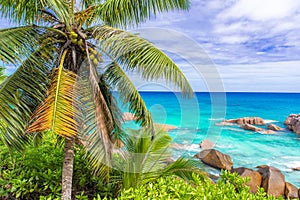 Tropical coast of La Digue, Seychelles - paradise destination for vacation