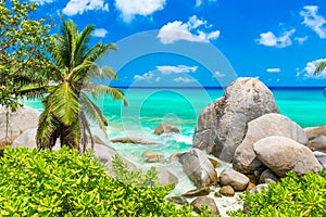 Tropical coast in Seychelles, Mahe