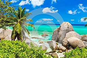 Tropical coast in Seychelles, Mahe