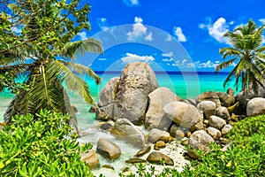 Tropical coast in Seychelles, Mahe
