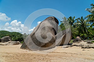 Tropical coast view with beach, stones and surrounding palm trees