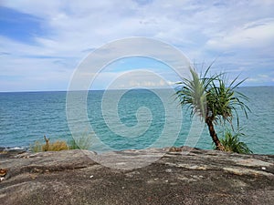 Tropical coastel view