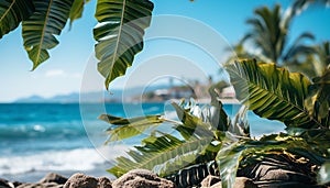 Tropical coastline, palm trees, blue water, sandy beach, summer vacation generated by AI