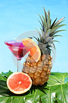 Tropical Cocktail