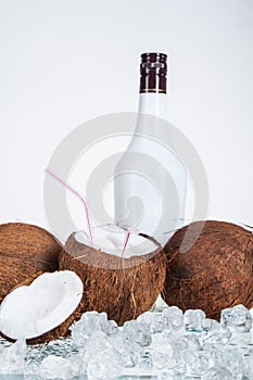 Tropical coconut