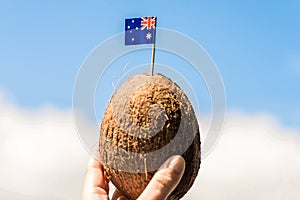 Tropical coconut with the Australian flag in the form of a toothpick in female hands. Travel concept. tourist of Australia