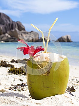 Tropical Coconut Drink at the Beach on La Digue island