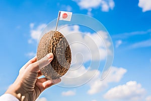 Tropical coconut with Japanese flag in the form of a toothpick in female hands. Travel concept.  Tourist from Japan on vacation.