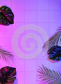 Tropical coconut leaves and monstera on pink and blue light bathroom tiles wall