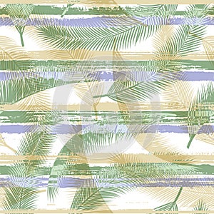 Tropical coconut palm leaves tree branches