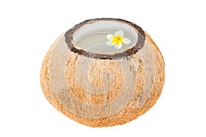 Tropical Coconut Refreshment