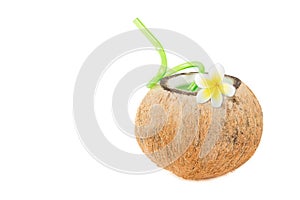 Tropical Coconut Refreshment
