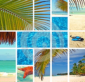 Tropical collage.