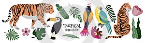 Tropical collection exotic flowers, leaves, birds and tigers. Cute flat Vector isolated elements