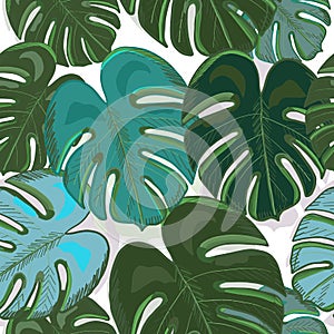 Tropical colorful monstera leaves background. Hand drawn tropic leaf repeated pattern
