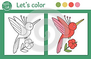 Tropical coloring page for children. Vector humming bird with flower illustration. Cute funny animal character outline. Jungle