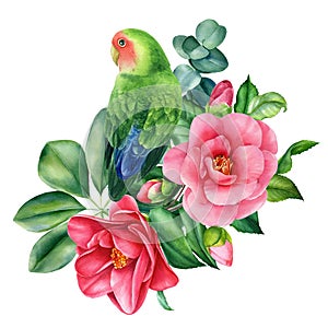 Tropical composition bouquet of flowers and parrots lovebirds on isolated white background, watercolor illustration