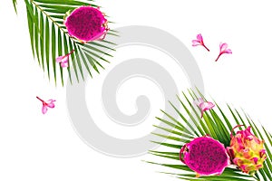Tropical composition with dragon fruits, exotic pink flowers and palm leaves on white background. Flat lay, top view.