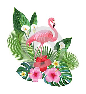 Tropical composition and flamingo. Vector illustration.