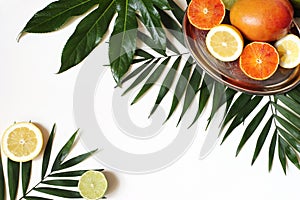 Tropical composition of mango, lemons, oranges, lime fruit and lush green palm and aralia leaves on silver plate photo