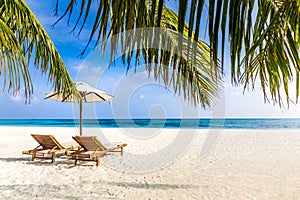 Tropical couple beach nature as summer landscape with lounge chairs and palm trees and calm sea beach banner. Luxurious travel