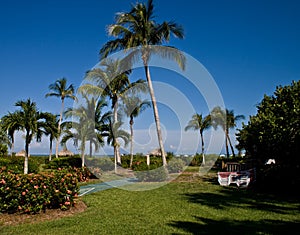 Tropical Courtyard