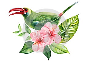 Tropical cute bird, flower watercolor isolated, beautiful summer drawing, Exotic flora design, Green toucan illustration