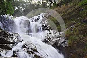 Tropical datanla waterfall in the forest, dalat, vietnam