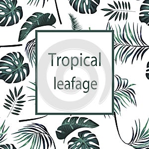 Tropical design leafage text background