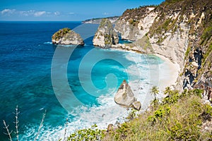 Tropical Diamond beach with coconut palms and cliff in Nusa Penida, Bali, Indonesia