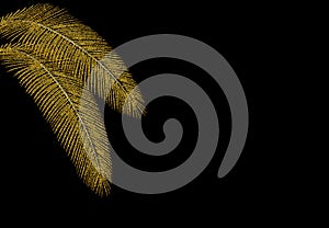 Tropical Different shaped golden palm leaves. Stylized from circles. illustration