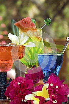 Tropical Drinks