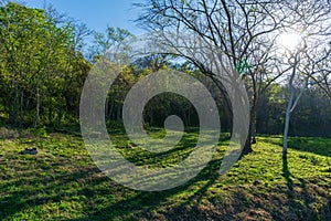 Tropical dry forest in Guanacaste province of Costa Rica