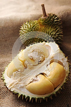 Tropical Durian fruit
