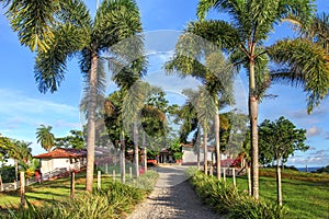 Tropical estate, Isla Boca Brava, Panama