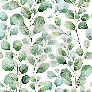 Tropical eucalyptus leaves botanical watercolor seamless pattern