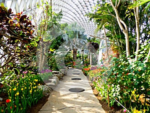 Tropical Exhibition Greenhouse plants