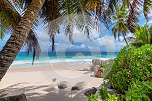 Tropical exotic beach in Seychelles island